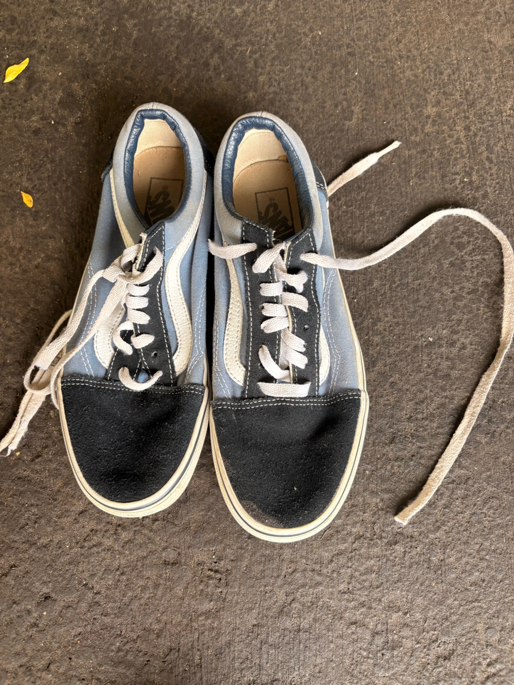 Vans Low-Top Sneakers in Light Blue and Black